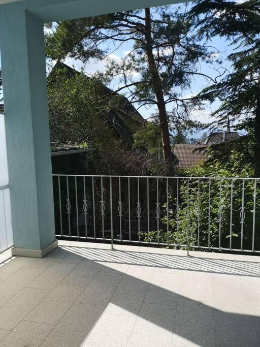 Appartement Le Bellevue Dans Maison De Maitre De 1920 Riedisheim Eksteriør billede